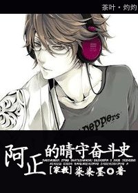 《(家教同人)阿正的晴守奋斗史》