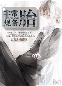 《非常規備胎》