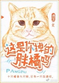 《這是你掉的胖橘嗎》
