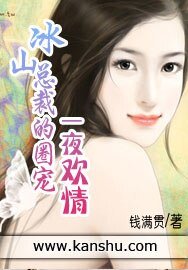 《冰山总裁的圈宠:一夜欢情》
