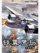 《鐵翼鷹揚》