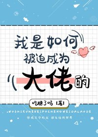 《(BG/綜漫同人)我是如何被迫成為大佬的》