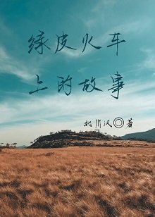 《綠皮火車上的故事》