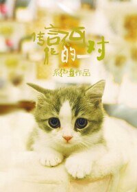 《傳言不可能的一對》