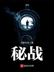 《秘战》
