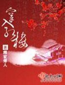 《穿入紅樓》