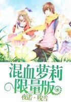 《光暗傳說:混血蘿莉限量版》