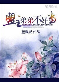 《盟主弟弟不好當/重生之盟主哥哥》