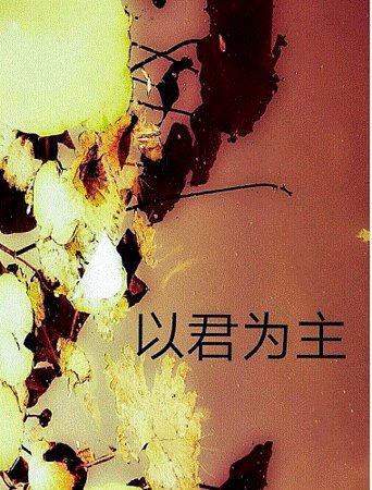 《以君為主》