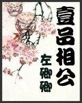 《一品相公》