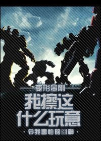 《(變形金剛同人)我擦這什麼玩意》