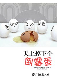 《天上掉下個倒黴蛋》