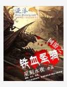 《網遊之鐵血聖騎》