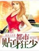 《都市貼身狂少》