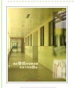 《冷漠,是不是我的错》