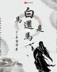 《白馬還是馬》