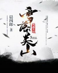 《雪落關山》