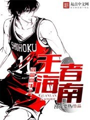 《灌籃高手之王者海南》