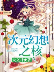 《次元幻想之核》