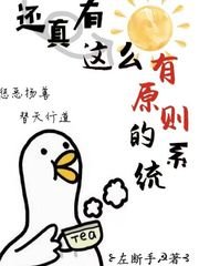 《還真有這麼有原則的系統》