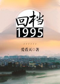 《回档1995》