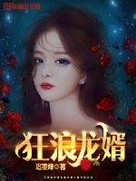 《狂浪龍婿》