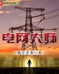 《電網大師》