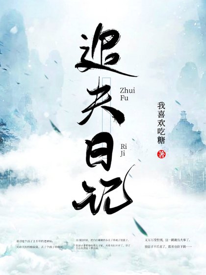 《追夫日記》