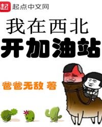 《我在西北開加油站》