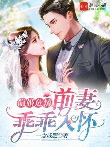 隱婚危情：前妻乖乖入懷
