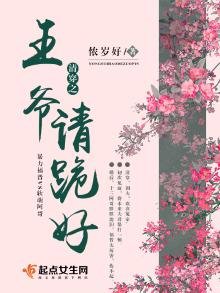 《清穿之王爷请跪好》