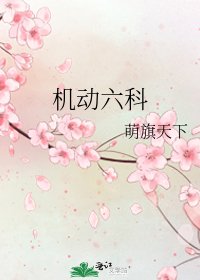机动六科