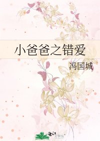 《小爸爸之錯愛》