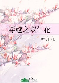 《穿越之雙生花》