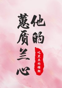 《他的蕙质兰心》