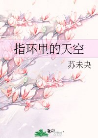 《指环里的天空》