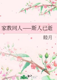《家教同人——斯人已逝》