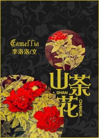 《Camellia山茶花》