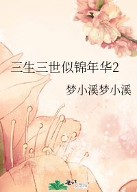 三生三世似锦年华2