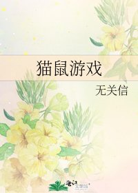 《貓鼠遊戲》