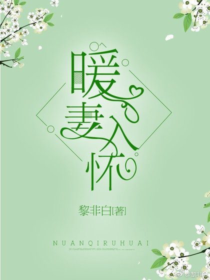 《暖妻入懷》