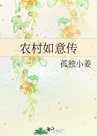 農村如意傳