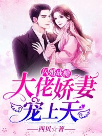 《閃婚成癮:大佬嬌妻寵上天》