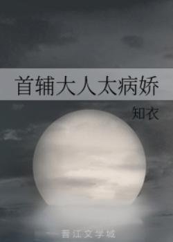 《首輔大人太病嬌》