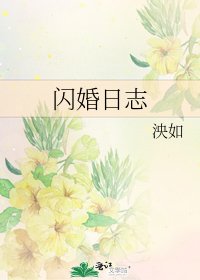 《閃婚日誌》