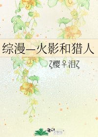 綜漫—火影和獵人