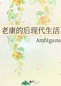 《老康的後現代生活》