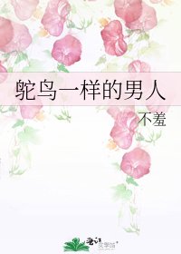 《鴕鳥一樣的男人》