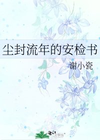 《塵封流年的安檢書》