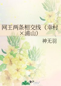 《網王兩條相交線(幸村×浦山)》
